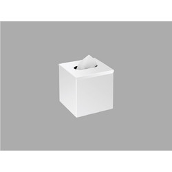 Sanco Tissue Dispensers Tissue Box Free standing | Wall mounted (AISI 304) Λευκό ματ 00106-Μ101