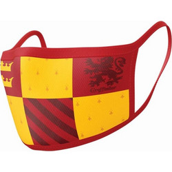 Pyramid Harry Potter - Wizarding World (Gryffindor) Mask - 2Pack Face Covers (GP85567)