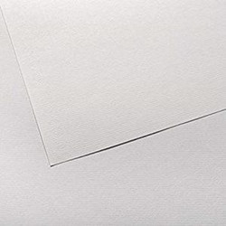 ΧΑΡΤΟΝΙΑ CANSON INGRES 50X65 100gr WHITE