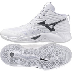 Mizuno WAVE MOMENTUM PRO MID V1GA254583 shoes