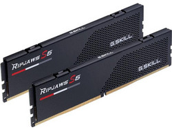 G.Skill Flare X5 64GB (2X32GB) DDR5 RAM 5600MHz C36 EXPO Black