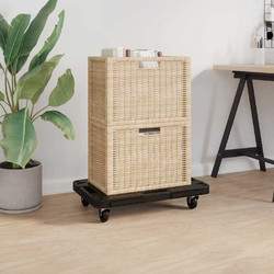 VidaXL Τρόλεϊ Μεταφοράς 5 Τεμ. Μαύρα 58 x 38 x 12 εκ. Πολυπροπυλένιο