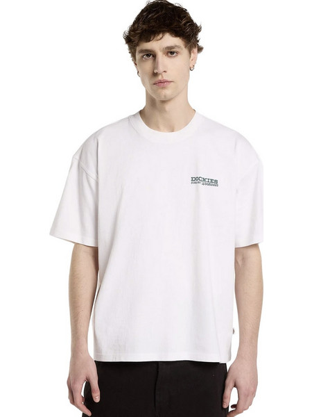 DICKIES AVONDALE SS TEE DK0A8CD40WH-0WH Λευκό