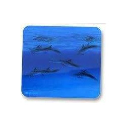 Allsop PCV Dolphins 06011