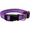 Pet Interest Dots Line Κολάρο Σκύλου Μωβ 2x32-50cm
