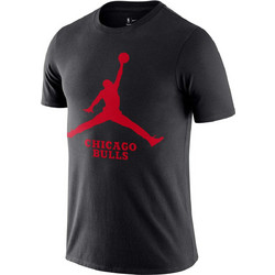 Jordan NBA Chicago Bulls Ανδρικό Αθλητικό T-Shirt Ανθρακί FD1460-010