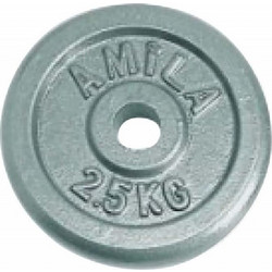 Amila Δίσκος Μεταλλικός 2.5kg Φ28mm