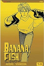 Banana Fish, Vol. 14 Banana Fish, Vol. 14