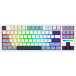 Redragon Antonium K728 Pro Ασύρματο Μηχανικό Gaming Πληκτρολόγιο TenKeyLess με Custom Dragon Chant Διακόπτες RGB White Blue