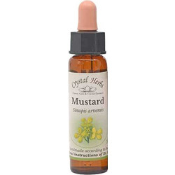Crystal Herbs Mustard Ανθοΐαμα σε Σταγόνες για Μελαγχολία 10ml