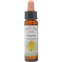 Crystal Herbs Gorse Ανθοΐαμα σε Σταγόνες για Αισιοδοξία 10ml