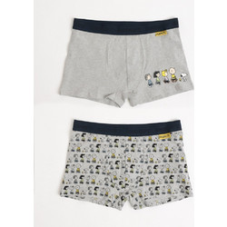 Admas Ανδρικά Μποξεράκια Σετ 2Pack Γκρι 48569