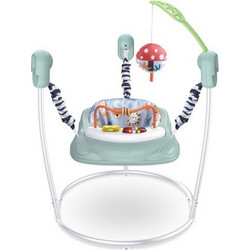 Chipolino Jumpy Car Jumperoo Mint Green