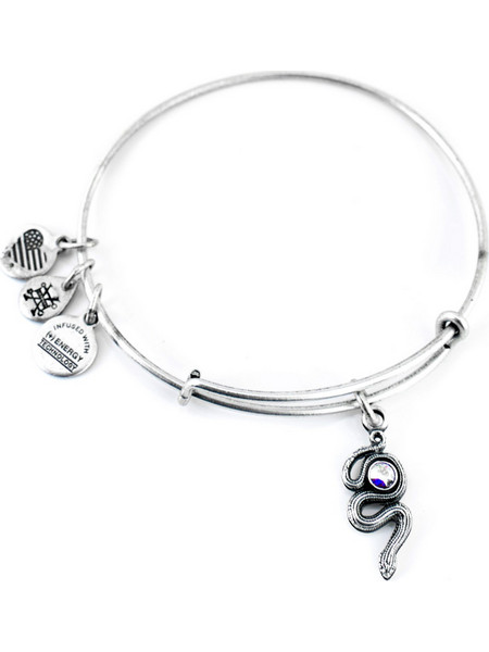 Alex and Ani Γυναικείο Βραχιόλι Βέργα Ασημί A16EB68RS