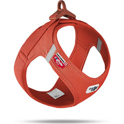 Curli Clasp Air-Mesh Σαμαράκι Σκύλου Γιλέκο Πορτοκαλί Small