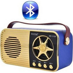 Wster WS-3129 Gold Blue
