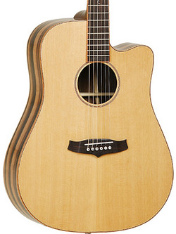 Tanglewood TWJDCE
