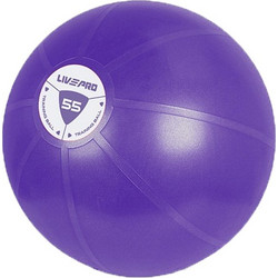 Μπάλα Κινησιοθεραπείας LivePro Core Fit 55cm Β 8201-55