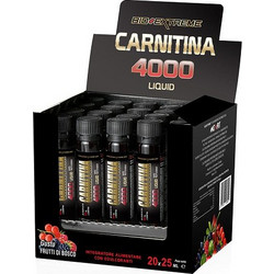 Bio Extreme Carnitina 4000 Forest Fruit Συμπλήρωμα Διατροφής με Καρνιτίνη 1000mg 25ml