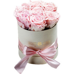 Forever Roses Ροζ Candy Premium 12x17cm 7 τριαντάφυλλα