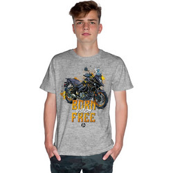 BORN FREE - V-STROM - DC (Κοντομάνικο Ανδρικό / Unisex) - Grey melange