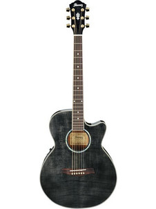 Ibanez AEL20 Transparent Black Gradient