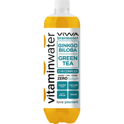Vegan Βιταμινούχο Νερό Brainboost με Μάνγκο Λαιμ & Ginkgo Biloba Viwa 600ml