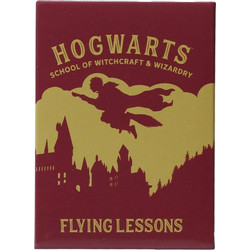 HARRY POTTER - Flying Lessons - Magnet