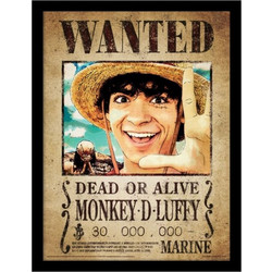 Κάδρο Luffy Wanted - One Piece (40.5 x 30.5 cm)