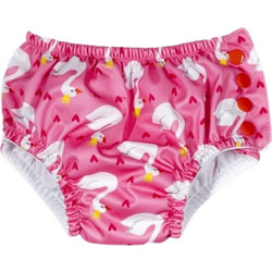 Tortue S2-302-340
