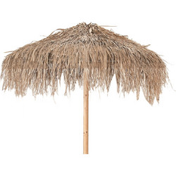 ΚΑΛΥΜΜΑ ΦΟΙΝΙΚΟΦΥΛΛΟ FUN PALM Φ250 Κωδ: 77638