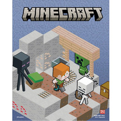 PYRAMID MINECRAFT - LENTICULAR POSTER Videogames NEW