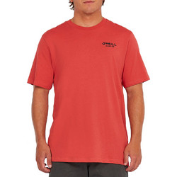 O'NEILL GLOBAL T-SHIRT 2850287-13033 Σομόν