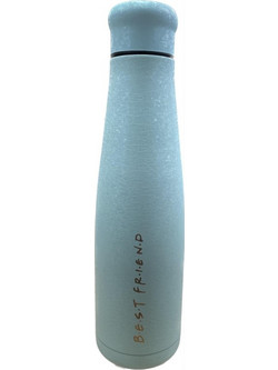 ΘΕΡΜΟΣ ΑΝΟΞΕΙΔΩΤΟ 550ml BLUE ICE BEST FRIENDS