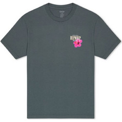 Μπλούζα κοντομάνικη Real Water Charcoal Tee RIPnDIP Γκρι