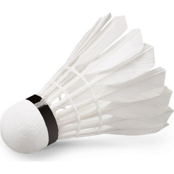Μπαλάκια Badminton Feather Shuttlecock W-09 12 τμχ. 42078