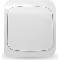 GEYER ΕΠΙΤΟΙΧΟΣ ΔΙΑΚΟΠΤΗΣ ΜΕΣΑΙΟΣ Α/Ρ IP44 ΛΕΥΚΟΣ (3614H)
