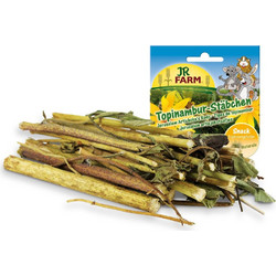 JR FARM ΚΛΑΔΙΑ ΑΓΚΙΝΑΡΑΣ ΤΗΣ ΙΕΡΟΥΣΑΛΗΜ 15*30gr
