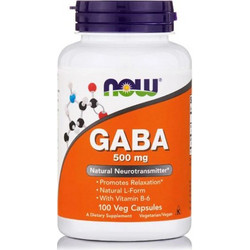 Now Solutions GABA 500mg 100 Κάψουλες
