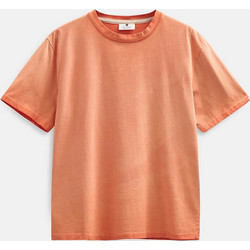 Anerkjendt Akvillads Washed T-Shirt Ανδρικό - Orange Tiger (902347-5707)