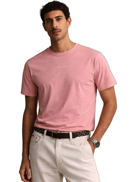 GANT Μπλούζα Small Graphic 2003405 Ρόζ