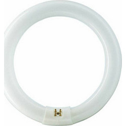 Philips Λάμπα Φθορίου MASTER TL-E TLE32W/86 G10Q 32WΚωδικός: 840551
