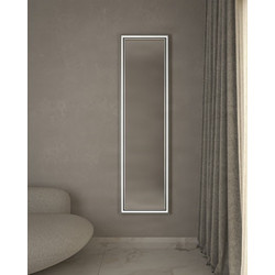 Καθρέπτης Επιδαπέδιος Project Mirrors Wood Classic Ασημί 50x180cm