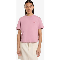 Dickies Oakport Boxy T-Shirt