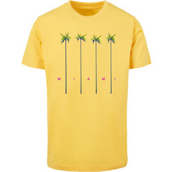 Miami Palms