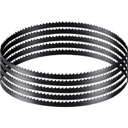 VEVOR Λάμα Πριονοκορδέλας, Μήκος 1511 mm, Λάμα 6 TPI με Σκληρυμένα Κοφτερά Δόντια 15 HRC, Χάλυβας Υψηλής Αντοχής SK5, Πλάτος 6.35 mm, Ανταλλακτικό για Μεγάλες Μάρκες Πριονοκορδέλων Ξυλουργικής, 1 Τεμά
