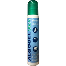 Ergopharm Algogel Stick για Μετά το Τσίμπημα 15ml