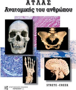 Άτλας ανατομικής του ανθρώπου
