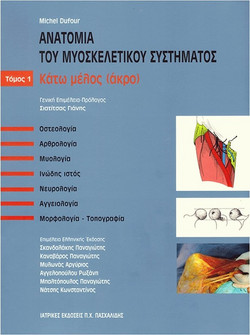 Ανατομία του μυοσκελετικού συστήματος