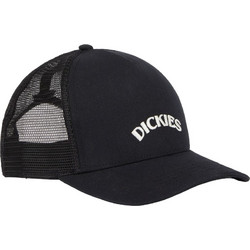 Dickies Shawsville Καπέλο Jockey με Δίχτυ Snapback Υφασμάτινο Μαύρο DK0A4YPG-BLK